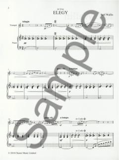 Elegi von Rolf Wallin 