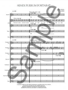 Senex Puerum Portabat (Nico Muhly) 