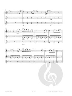 Lern Querflöte spielen in der Gruppe Band 1 von Elisabeth Weinzierl im Alle Noten Shop kaufen