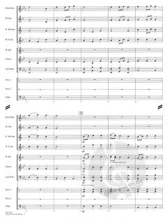 Royal Fireworks Music (Georg Friedrich Händel) 