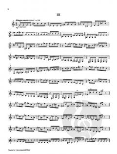 Studies For Unaccompanied Horn von Gunther Schuller im Alle Noten Shop kaufen