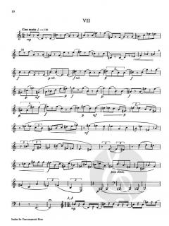 Studies For Unaccompanied Horn von Gunther Schuller im Alle Noten Shop kaufen