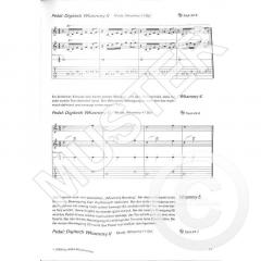 Guitar Effects von Thomas Dill 