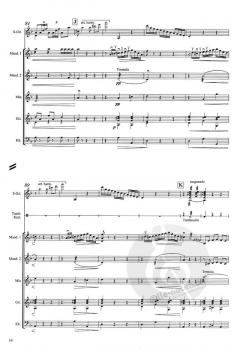 Grave und Fandango von Luigi Boccherini 