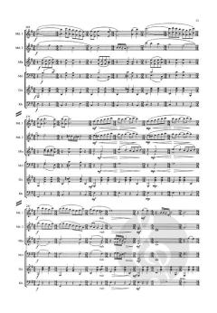 The Song of My Twinkle Star von Yasuo Kuwahara 