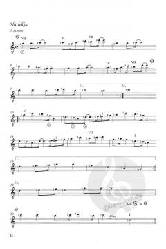 Harlekin von Klaus Schindler 