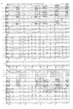 Legenda o Mrtv\(y'ch Vitez?ch, op. 35 b von Josef Suk 