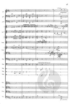 Enfant et les sortileges (Maurice Ravel) 