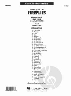 Fireflies von Adam Young 