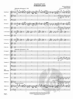 Fireflies von Adam Young 