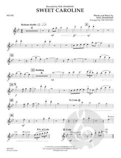 Sweet Caroline von Neil Diamond (Download) 