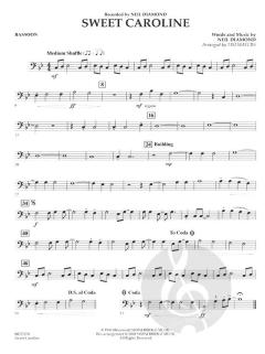 Sweet Caroline von Neil Diamond (Download) 