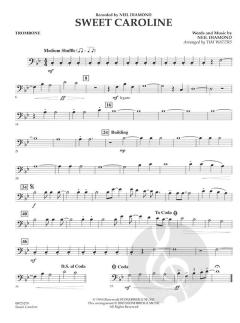 Sweet Caroline von Neil Diamond (Download) 