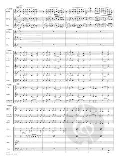 The Lord of The Dance von Ronan Padraig Hardiman (Download) 