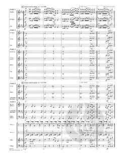 The Lord of The Dance von Ronan Padraig Hardiman (Download) 