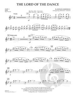 The Lord of The Dance von Ronan Padraig Hardiman (Download) 