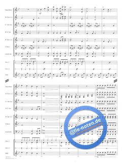 Defying Gravity (Stephen L. Schwartz) 