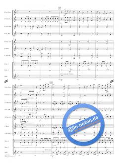 Defying Gravity (Stephen L. Schwartz) 