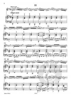 Concertino im Stil von Vivaldi von Ferdinand Küchler 