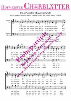 Im schönsten Wiesengrunde (Friedrich Silcher) 