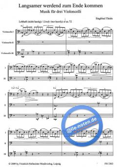Langsamer werdend zum Ende kommen von Siegfried Thiele 