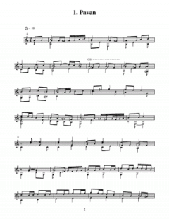 Marsh Lute Book von Richard Metzger 