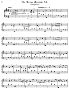 Russian Melodies For Accordion von Andreas Wins 