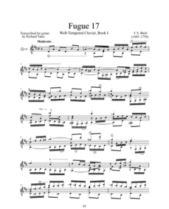 The Transcriber's Art von Richard Yates 