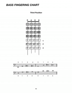 Student's Book Of Rounds von Marilyn Worth 