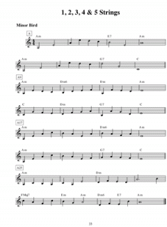 Beginning Guitar: Essential Etudes von Jack Petersen 