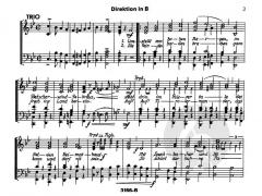 Haspinger / Schloss Leuchtenburg (Sepp Thaler) 