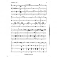 Quartet op. 4/1 (Niccolò Paganini) 