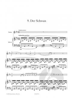 9 leichte Stücke aus: Karneval der Tiere von Camille Saint-Saëns 