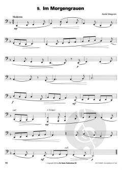 Hören, Lesen & Spielen Band 2 - Solo-Spielbuch von Michiel Oldenkamp 