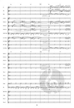 Concerto d'Amore von Jacob de Haan 