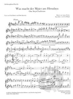 Was macht der Maier am Himalaya? von Anton Profes 