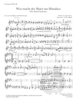 Was macht der Maier am Himalaya? von Anton Profes 