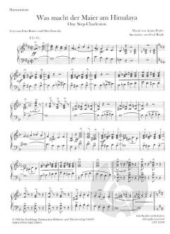 Was macht der Maier am Himalaya? von Anton Profes 