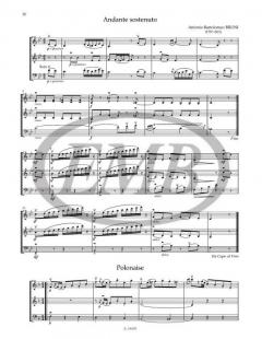 Trios für 2 Violinen und Violoncello von Arpad Pejtsik 