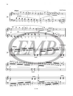 Presto e leggiero von Agnes Lakos 