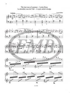 Kaleidoscope von Agnes Lakos 