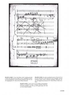 Harold en Italie (Berlioz) und andere Werke (Supplement Band 9) von Franz Liszt 