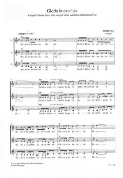 Gloria in excelsis für Frauenchor 