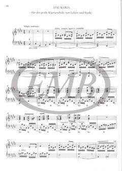 Einzelne Charakterstücke 1 (I/11) (Neue Liszt-Ausgabe I B) 