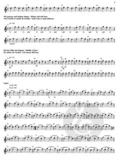 Schule der Bogentechnik op. 2/3 von Otakar Ševčík 