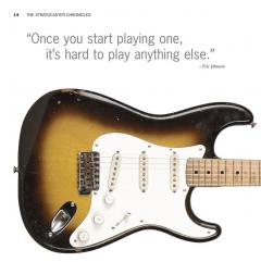 The Stratocaster Chronicles (Tom Wheeler) 
