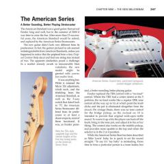 The Stratocaster Chronicles (Tom Wheeler) 