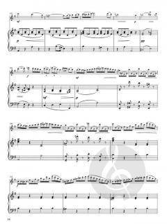 Concerto in mi minore von Saverio Mercadante 