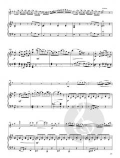 Concerto in mi minore von Saverio Mercadante 