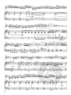 Concerto in mi minore von Saverio Mercadante 